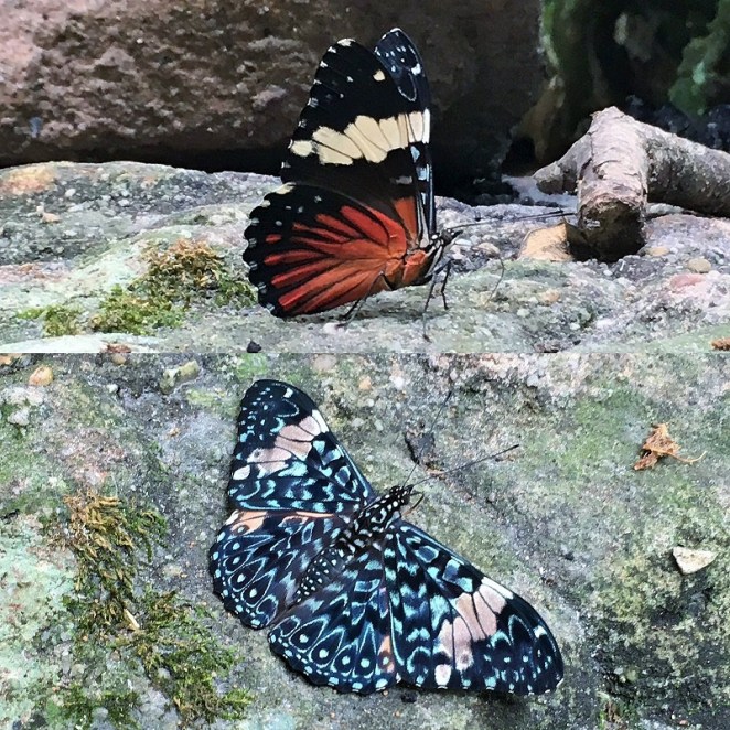 IMG-20160321-WA0000 (2)